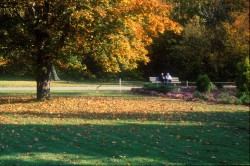 秋のボタニチェスキー公園